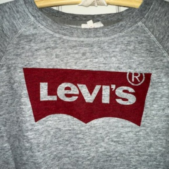 Cotton Blend Gray Levi's Logo Sweatshirt - Picture 4 of 9